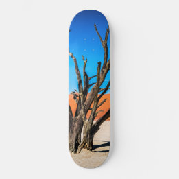 Skateboard Arbre mort à Deadvlei, Namibie