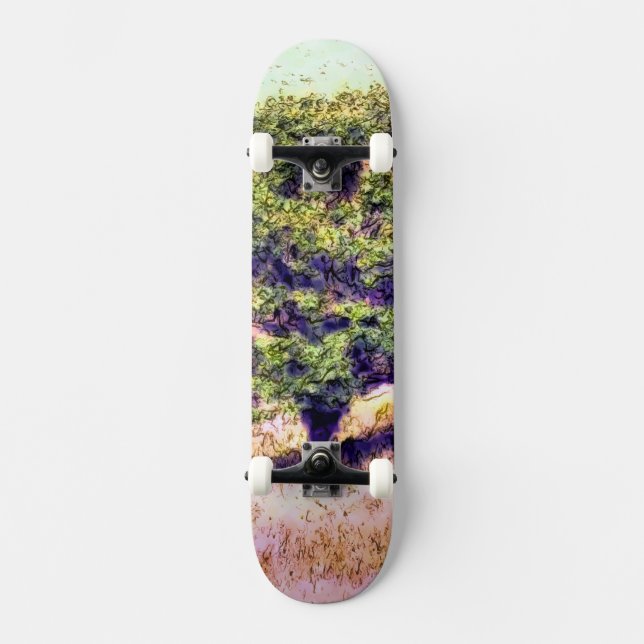 SKATEBOARD ARBRES (Recto)