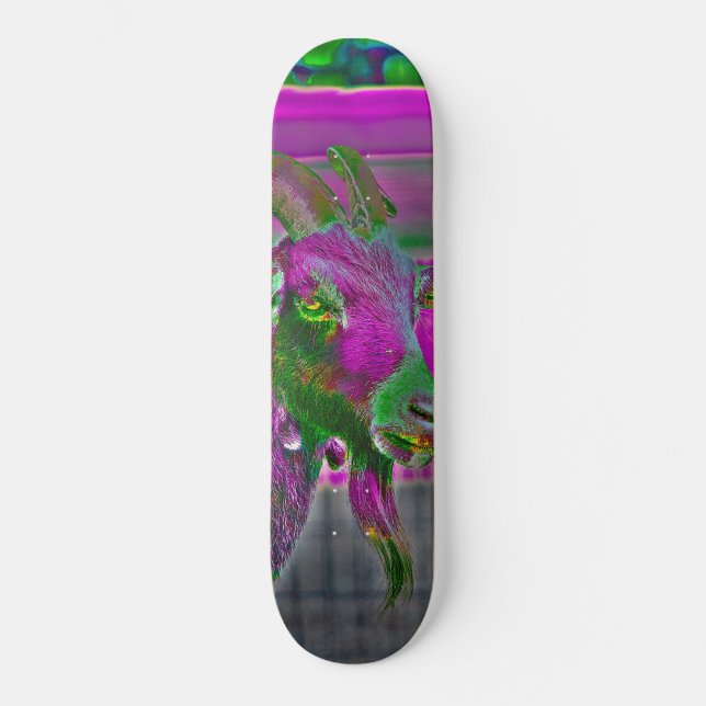Skateboard Art de la chèvre (Recto)