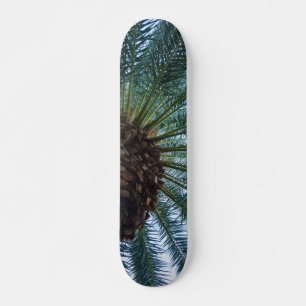 Skateboard Art Du Palmier