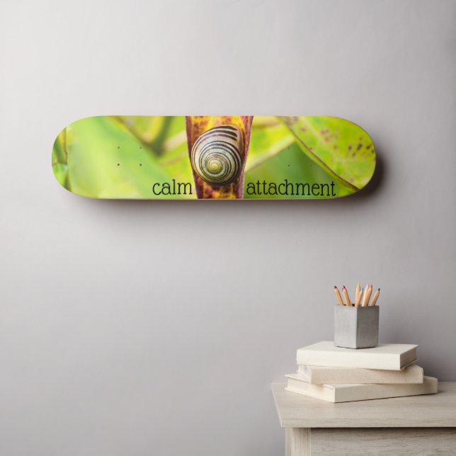 Skateboard attachement calme (Art mural (Horz))