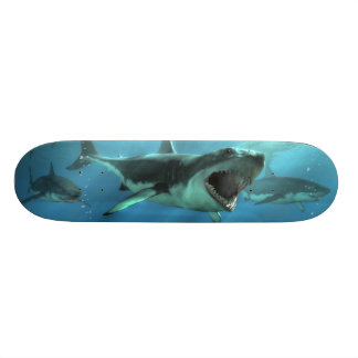 Skateboard Attaque de requin