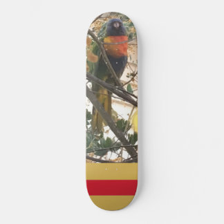 Skateboard Australian Wattle Rainbow Lorikeet Cockatoo Bird