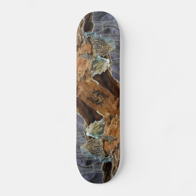 Skateboard avec deux lézards curieux (Recto)