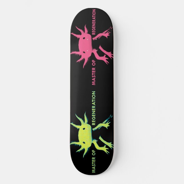 Skateboard axolotl (Recto)