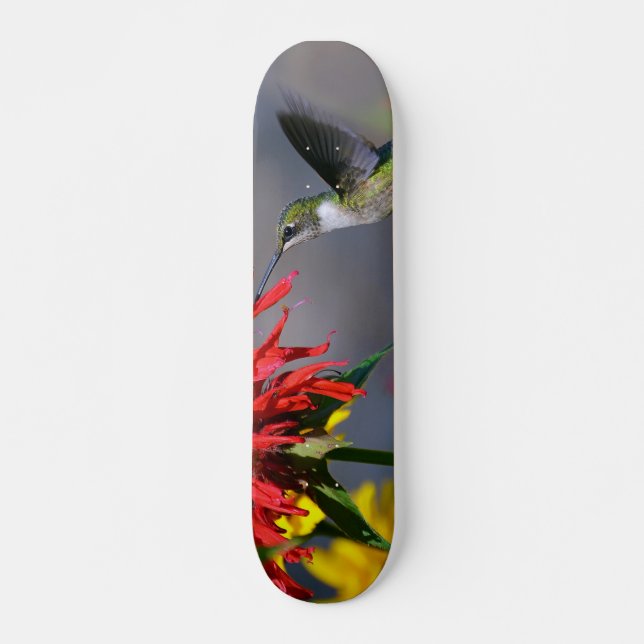 Skateboard Beauté des colibris (Devant)