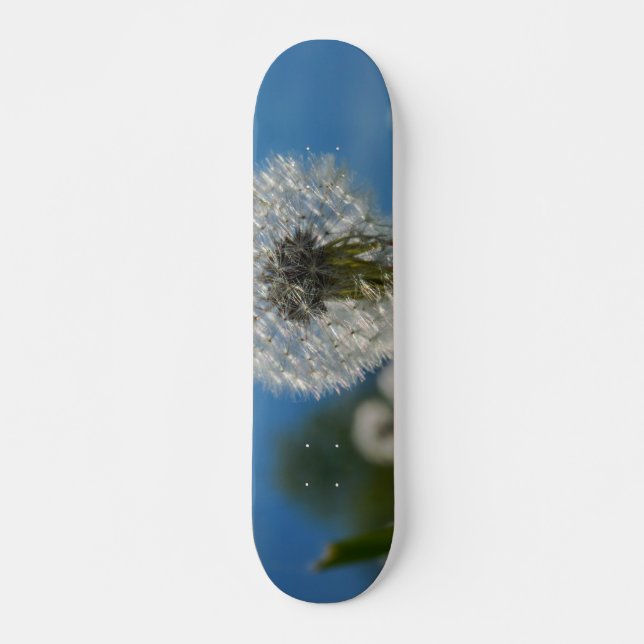 Skateboard Beauté D'Un Dandelion (Devant)