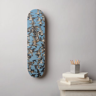 Skateboard Beaux canards d'hiver en vol