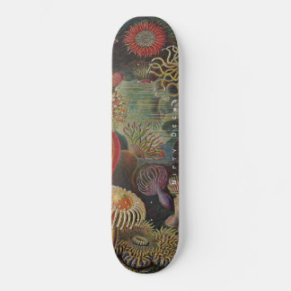 Skateboard Beaux ponts - Merveilles de la mer - Actiniae Skat