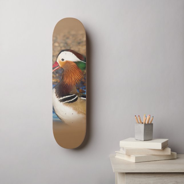 Skateboard Belle Chatty Mandarin Canard sur les rochers (Art mural)