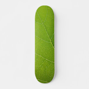 Skateboard Belle feuille verte