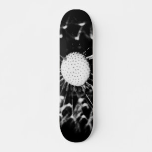 Skateboard blacq