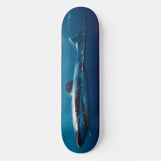 Skateboard Blue Shark Predator. (Recto)