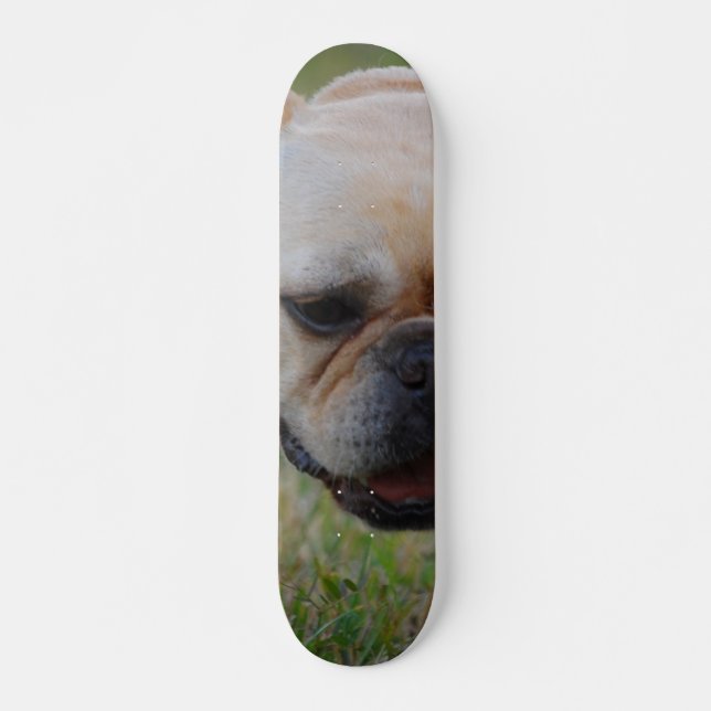 Skateboard Bouledogue français (Devant)