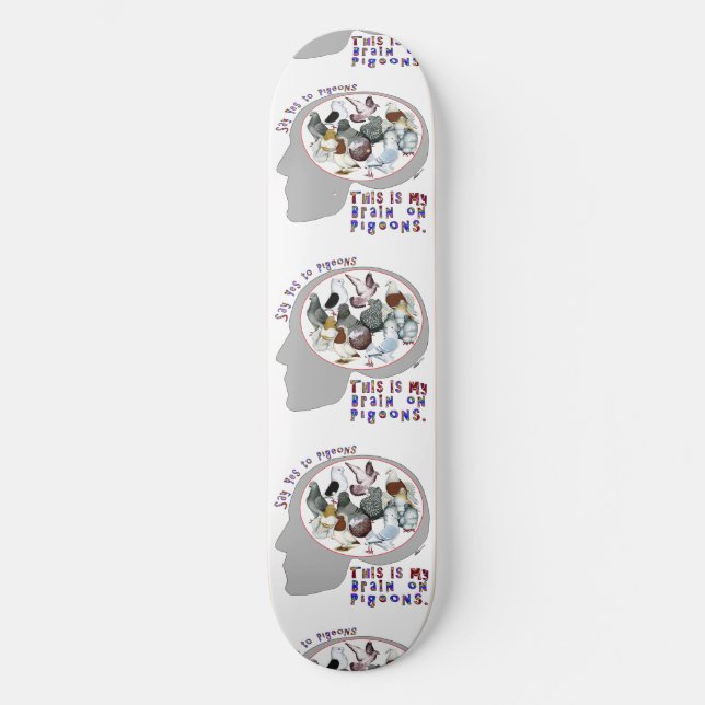 Skateboard Brain (Recto)