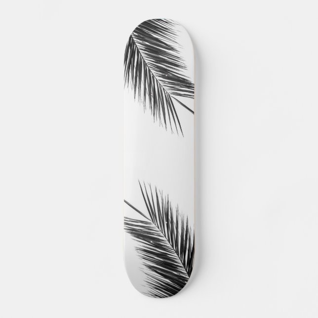 Skateboard Branche de palmier (Recto)