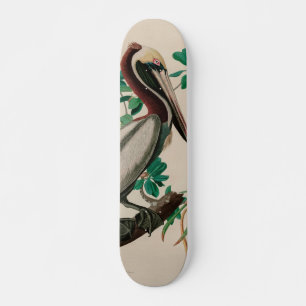 Skateboard Brown Pelican Birds of America Audubon
