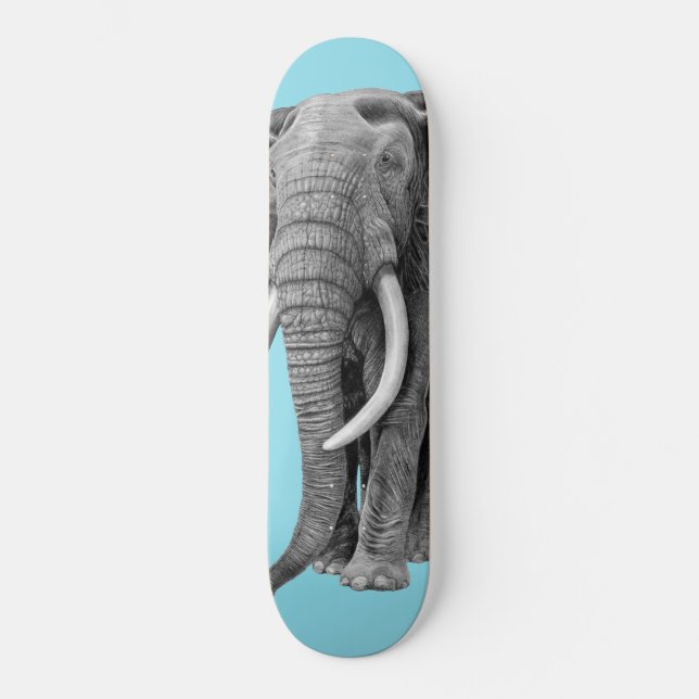 Skateboard Bull elephant (Recto)