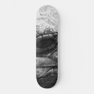 Skateboard BW Tortoise