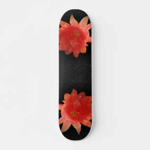 Skateboard Cactus Orchidée - Epiphyllum Ackermannii - Fleur