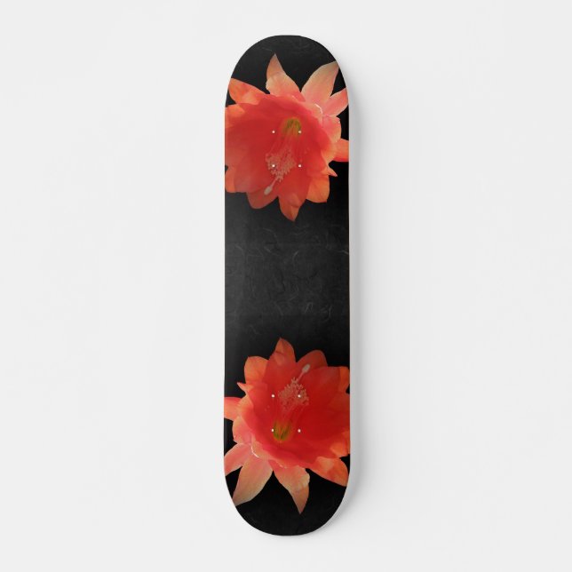 Skateboard Cactus Orchidée - Epiphyllum Ackermannii - Fleur (Devant)