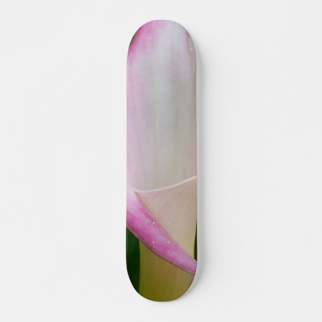 Skateboard Calla Pano (Devant)