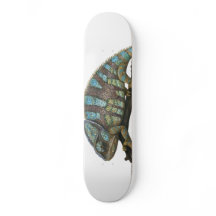 Caméléon Skate