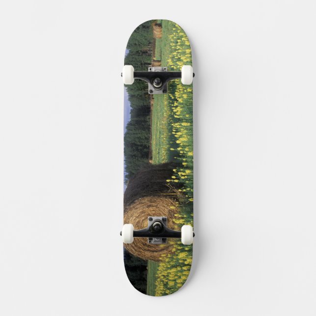 Skateboard Canada, Colombie-Britannique, Kitwanga. Jaune (Recto)