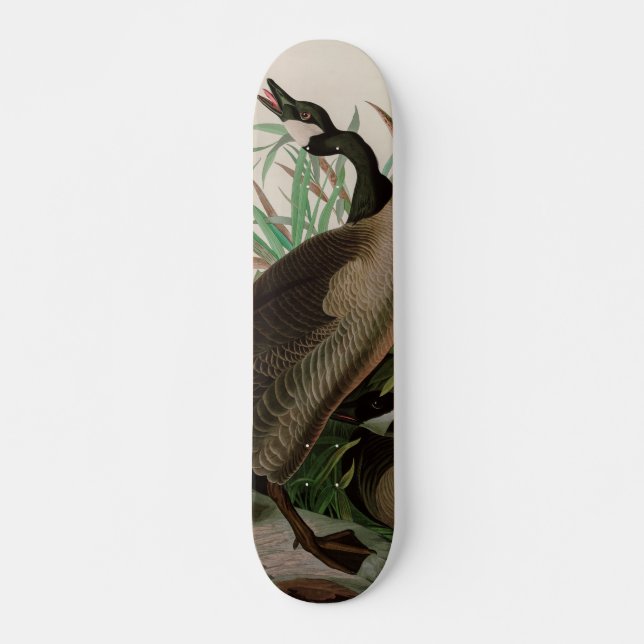 Skateboard Canada Goose Birds of America Audubon Imprimer (Devant)
