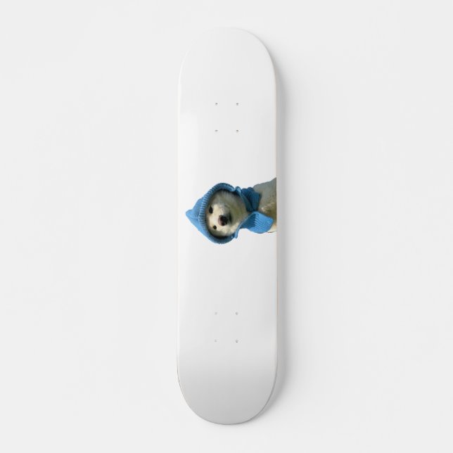 Skateboard captivité (Devant)