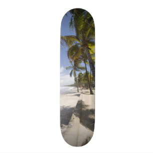 Skateboard Caraïbes - Trinidad - Manzanilla Beach sur