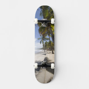 Skateboard Caraïbes - Trinité - Plage de Manzanilla sur