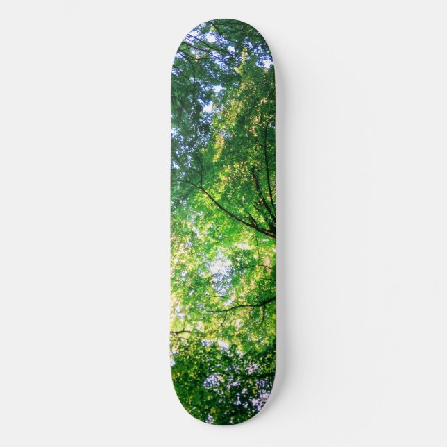 Skateboard Carte à roulettes LiveGreen (Recto)