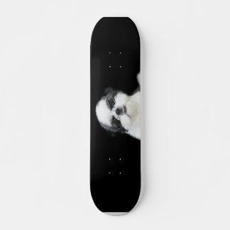 Skateboard Carte à roulettes Shih Tzu