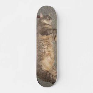 Skateboard Carte FatCat