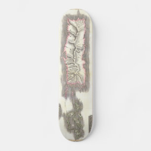 Skateboard Carte vintage des îles des Caraïbes (1815)