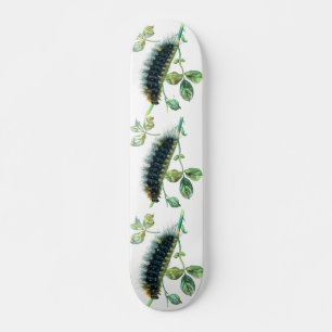 Skateboard Caterpillar Arctia caja