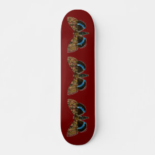 Skateboard Catocala fraxini