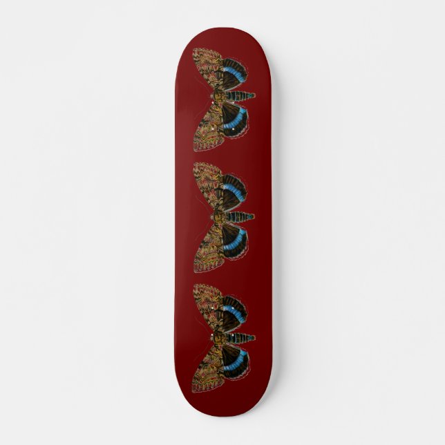 Skateboard Catocala fraxini (Devant)