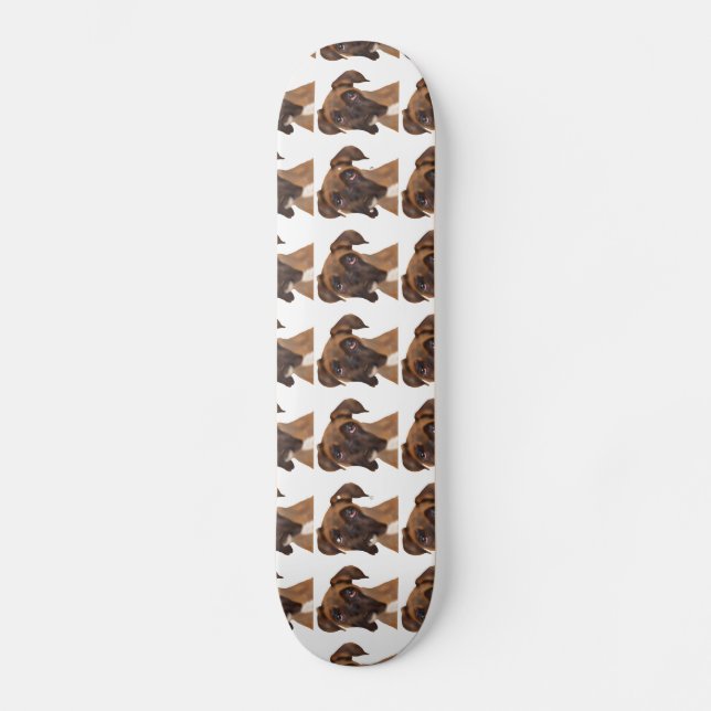 Skateboard Ce qui Woof ? (Recto)