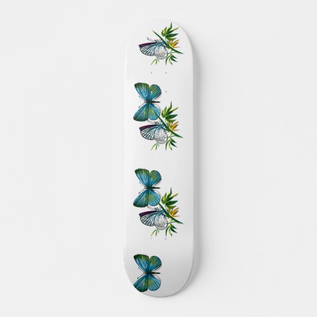 Skateboard Celastrina argiolus (mâle) (Devant)