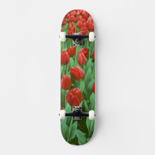 Skateboard Champ de tulipes en fleurs au printemps.