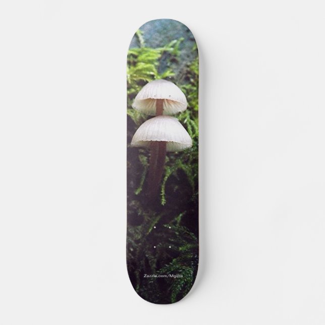 Skateboard Champignons (Recto)