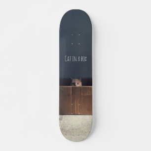 Skateboard Chat dans une boîte. Le maître du chat Zen.