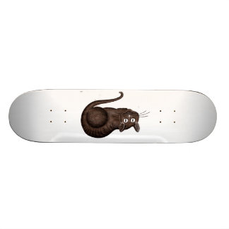 Skateboard Chat de Chesire