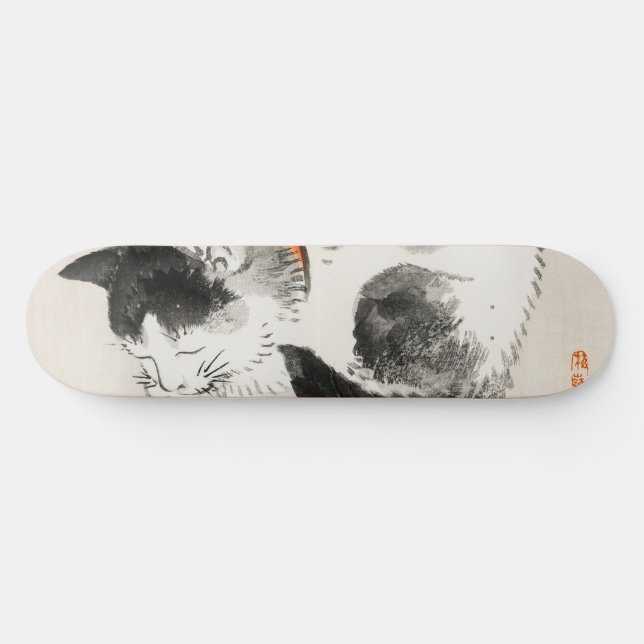 Skateboard Chat endormi (Horz)