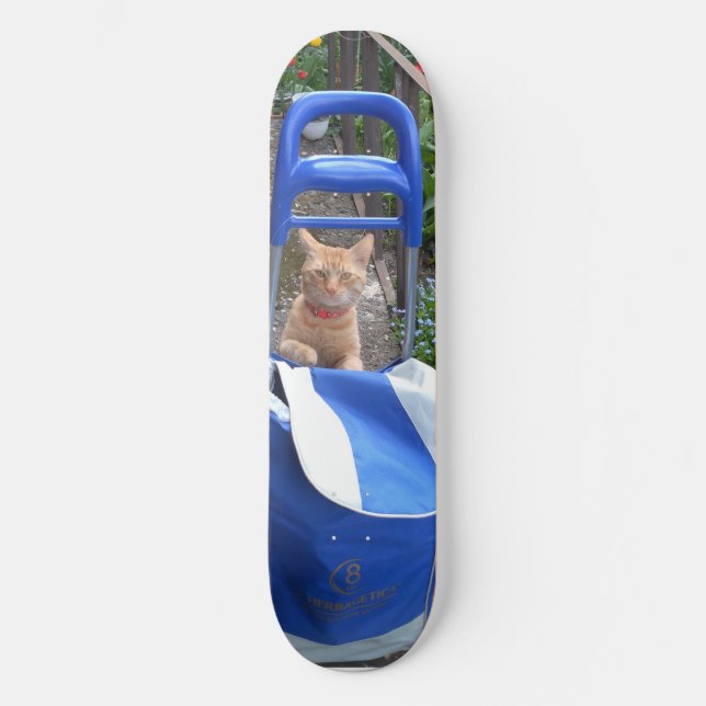 Skateboard Chat Ginger Skboard (Recto)