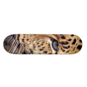 Skateboard Chat sauvage