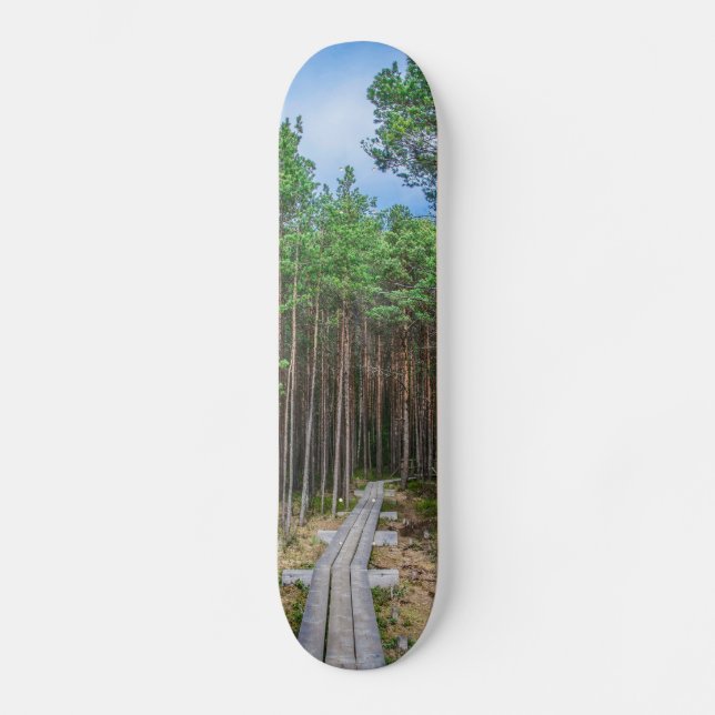 Skateboard Chemin en bois dans la pinède (Recto)