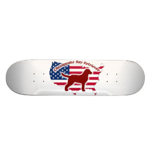 Skateboard Chesapeake Bay Retriever